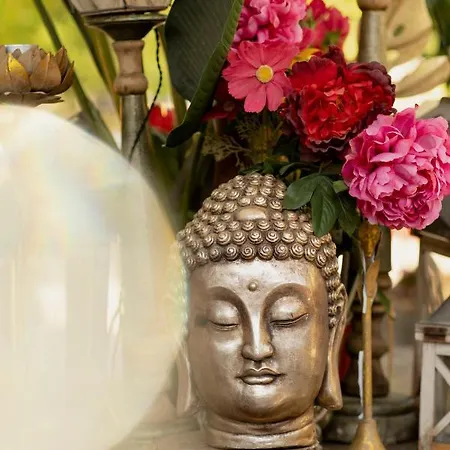 La Striscia Wine Farma Arezzo