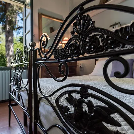 Farm stay La Striscia Wine Arezzo