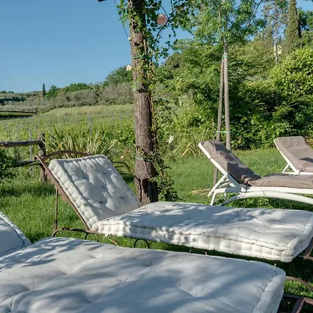Farm stay La Striscia Wine *