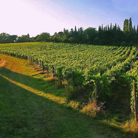 La Striscia Wine Farm stay Arezzo